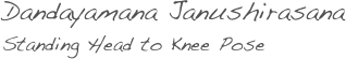 Dandayamana Janushirasana
Standing Head to Knee Pose